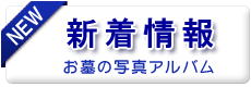 お墓の写真